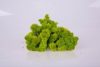 Стабилизированный мох Spring Green Norske Moseproducter AS 500 грамм