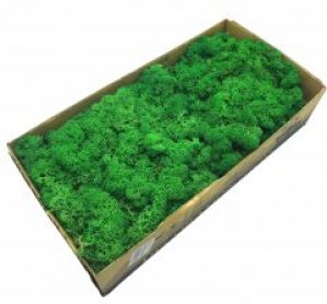 Стабилизированный мох SO Green темно-зеленый 0