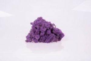Стабилизированный мох Purple Moseproducter AS 500 грамм
