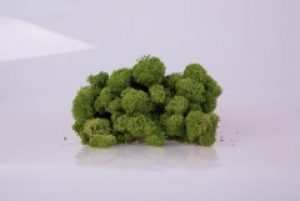 Стабилизированный мох Medium Green Norske Moseproducter AS 5 кг