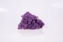 Стабилизированный мох Purple Moseproducter AS 50 грамм