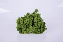 Стабилизированный мох Moss Green Norske Moseproducter AS 1 кг
