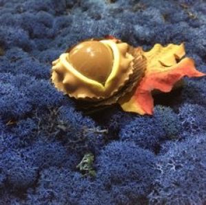 Стабилизированный мох ягель Nordik moss Синий лазурный 50 грамм