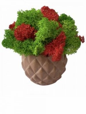 Кашпо из бетона Stone Product Cone с салатовым и красным мхом 72 х 63 мм Кирпичное
