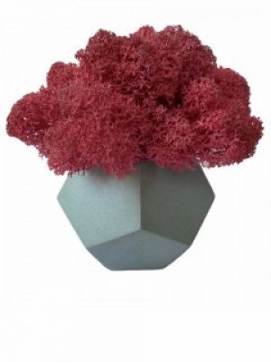 Кашпо из бетона Stone Product Pentagon с розовым мхом 80 х 70 мм Небесно-голубое