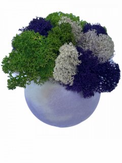 Кашпо из бетона Stone Product Sphere с салатовым
