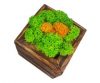 Кашпо деревянное MossArt со стабилизированным мхом (1499)