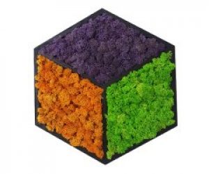 Картина шестиугольная MossArt из стабилизированного мха 30 см Разноцветная (1503)