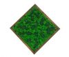 Картина квадратная MossArt из стабилизированного мха 30 см Разноцветная (1505)