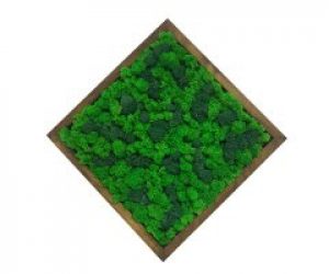 Картина квадратная MossArt из стабилизированного мха 30 см Разноцветная (1505)