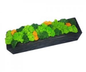 Кашпо деревянное MossArt со стабилизированным мхом (1497)