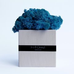Эко-декор со скандинавским мхом Hi-Forest Cube (белый/голубой) для дома и офиса. 9х9х9 см. Подарочная упаковка.