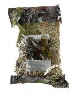 Стабилизированный декоративный мох Edeka 100 г Edeka зеленый ED-10035