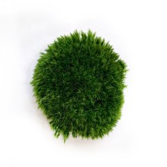 Мох стабилизированный Green Ecco Moss Прованс Королевский 500 гр.