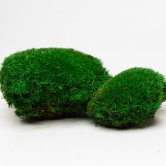Мох стабилизированный Green Ecco Moss Кочка Зеленая 1 кг.