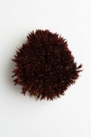 Мох стабилизированный Green Ecco Moss Прованс Королевский коричневый 250 гр.