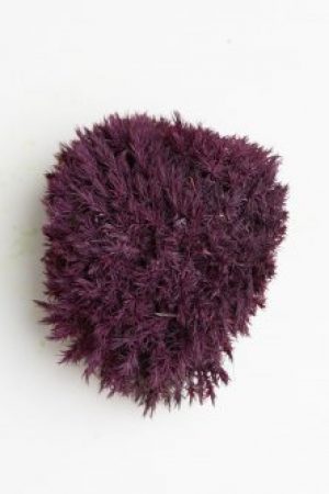 Мох стабилизированный Green Ecco Moss Прованс Королевский Лавандовый 1 кг.