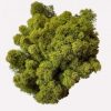 Мох стабилизированный Очищенный Green Ecco Moss Норвежский Оливковый 250 гр.