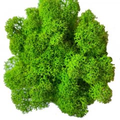 Мох стабилизированный Green Ecco Moss Норвежский Зеленый Лайт 250 гр..