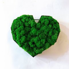 Флорариум со мхом ягель темно-зеленый Green Ecco Moss