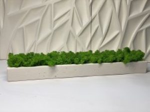 Стабилизированный мох в кашпо из гипса A7Studio