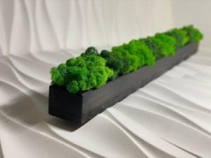 Деревянное кашпо с стабилизированным мхом 1 000 мм A7Studio