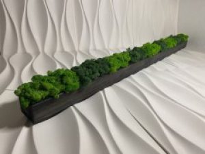 Деревянное кашпо с стабилизированным мхом 1 500 мм A7Studio