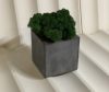 Кашпо из бетона с стабилизированным мхом A7studio 90х90х50мм