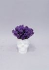 Стабілізований мох Череп фіолет Kora_Bog в бетонному кашпо ручної роботи М-25
