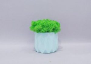 Стабілізований мох Go_Kora_Bog в бетонному кашпо ручної роботи М-13