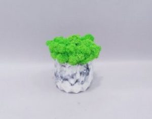 Стабілізований мох Go_Kora_Bog в бетонному кашпо ручної роботи М-14