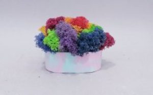 Стабілізований мох Райдуга Kora_Bog в бетонному кашпо ручної роботи М-19