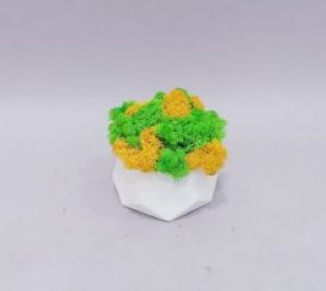 Стабілізований мох мікс Go_Kora_Bog в бетонному кашпо ручної роботи М-22