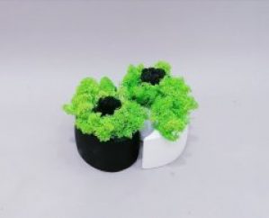 Стабілізований мох Інь-Янь зелений Go_Kora_Bog в бетонному кашпо ручної роботи М-18