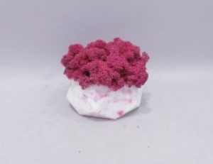 Стабилизированный мох малиновый в бетонном кашпо ручной работы