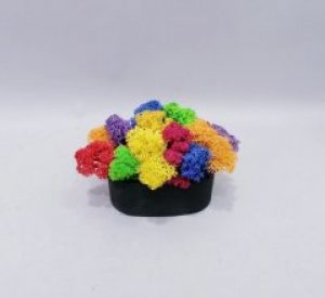 Стабілізований мох Райдуга Kora_Bog в бетонному кашпо ручної роботи