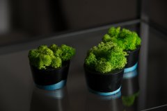Набор декоративный Скандинавский мох в черно-голубом бетонном кашпо зеленый 3 шт