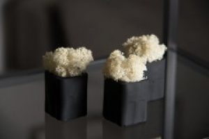 Набор декоративный Скандинавский мох в черном бетонном кашпо бежевый 3 еденицы