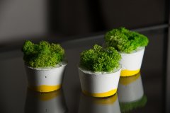 Набор декоративный Скандинавский мох в желто-белом бетонном кашпо зеленый 3 шт