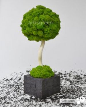 Топиарий в графитовом квадратном кашпо из скандинавского мха