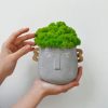 Оригинальное бетонное кашпо ручной работы со мхом