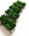 Моссариум с мхом Wow Decor 60 см