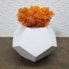 Кашпо с мхом Wow Decor Гексагон белый с оранжевым мхом