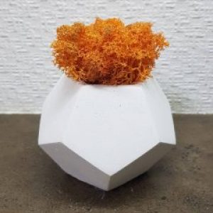 Кашпо с мхом Wow Decor Гексагон белый с оранжевым мхом