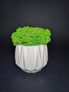 Кашпо с мхом Wow Decor Фигурное серое с салатовым мхом