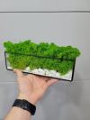 Моссариум с мхом Wow Decor 20 см