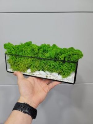 Моссариум с мхом Wow Decor 20 см