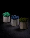 Набор серых мини кашпо Wow Decor с цветным мхом