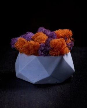 Кашпо с мхом Wow Decor Многогранник голубой с оранжево фиолетовым мхом
