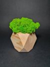 Деревянное кашпо многогранник с мхом Wow Decor Салатовый мох
